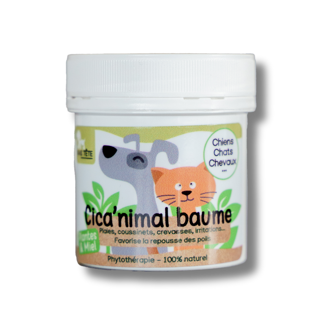Baume naturel cicatrisant 80g