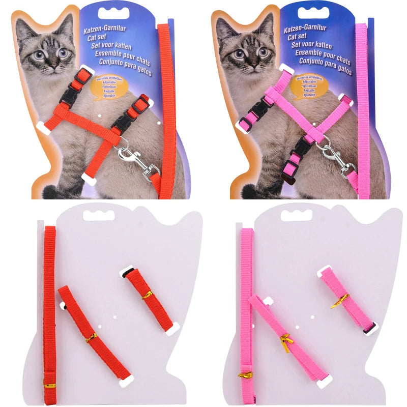 Collier réglable pour chat – Harnais et laisse assortis en nylon confortable, 5 couleurs disponibles