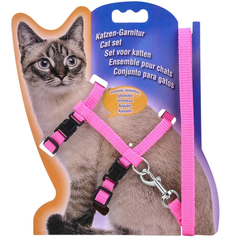 Collier réglable pour chat – Harnais et laisse assortis en nylon confortable, 5 couleurs disponibles