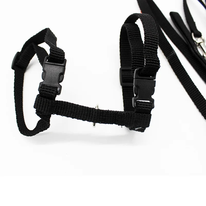 Collier réglable pour chat – Harnais et laisse assortis en nylon confortable, 5 couleurs disponibles