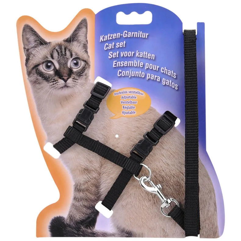 Collier réglable pour chat – Harnais et laisse assortis en nylon confortable, 5 couleurs disponibles