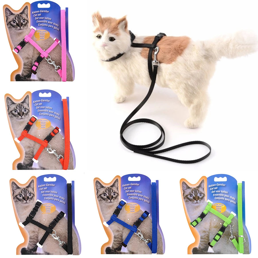 Collier réglable pour chat – Harnais et laisse assortis en nylon confortable, 5 couleurs disponibles