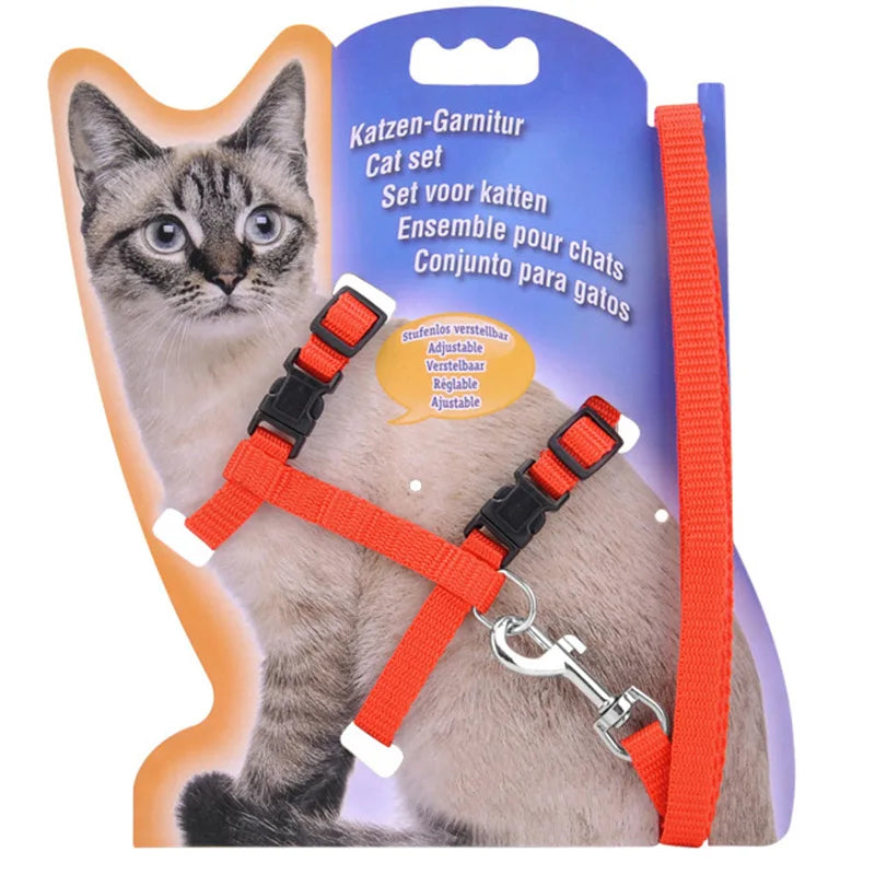 Collier réglable pour chat – Harnais et laisse assortis en nylon confortable, 5 couleurs disponibles