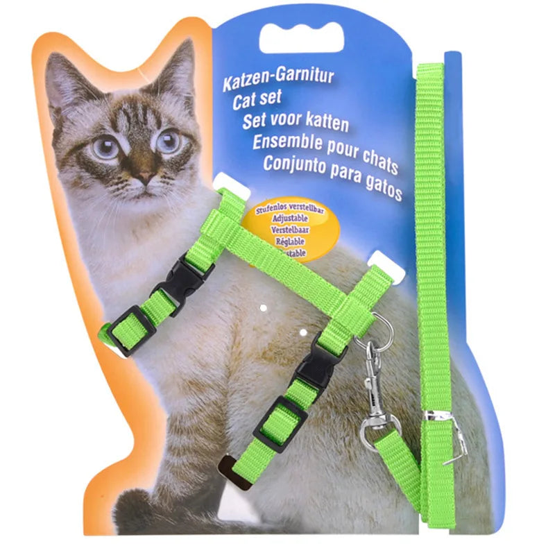 Collier réglable pour chat – Harnais et laisse assortis en nylon confortable, 5 couleurs disponibles