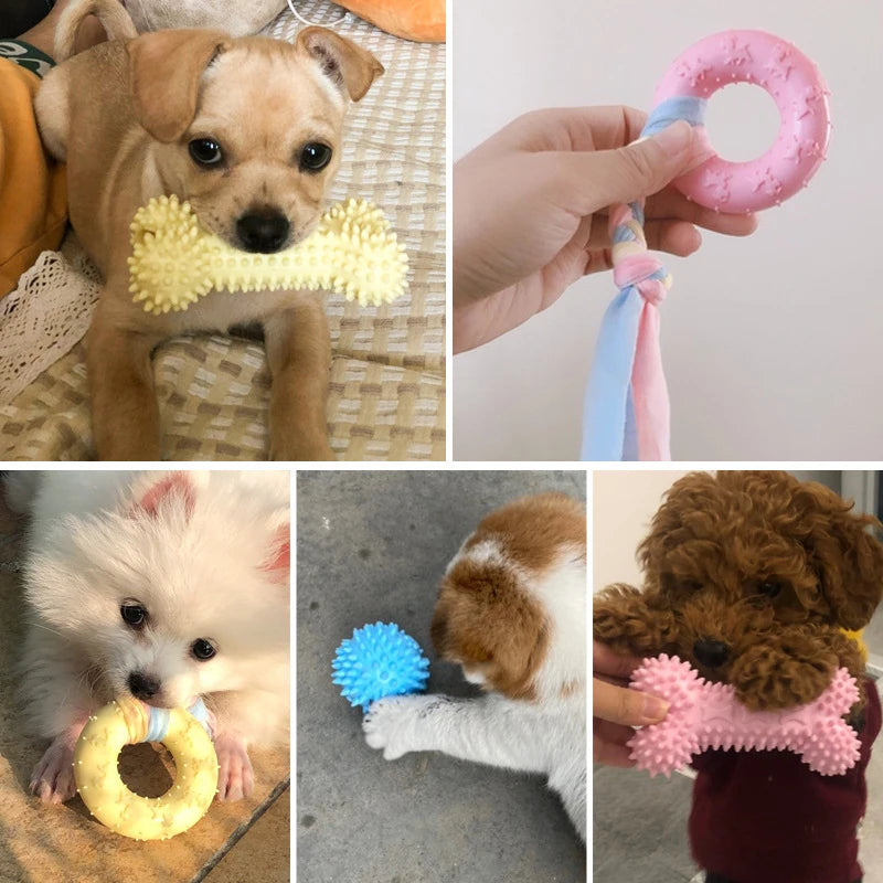 Accessoires interactifs - jouets pour petits chiens à mâcher