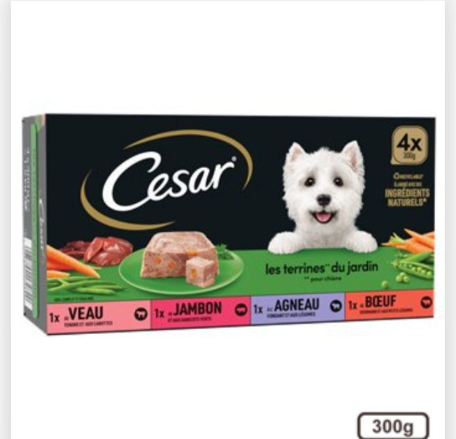 Lot de 4 Terrines Gourmandes Naturelles pour Chien – 300 g chacune