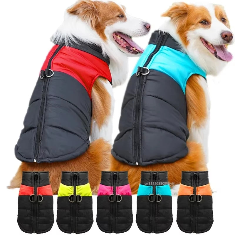 Vêtement Imperméable et Chaud pour Chien – Manteau/Veste d’Hiver Matelassée avec Fermeture Éclair – Tenue pour Petits, Moyens et Grands Chiens