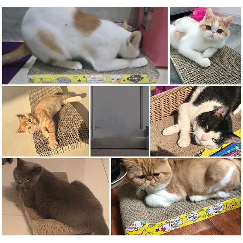 Griffoir pour Chat en Carton Ondulé – Tapis/Planche à Griffer Résistant pour Canapé, Coussin et Lit – Jouet et Protection Meubles