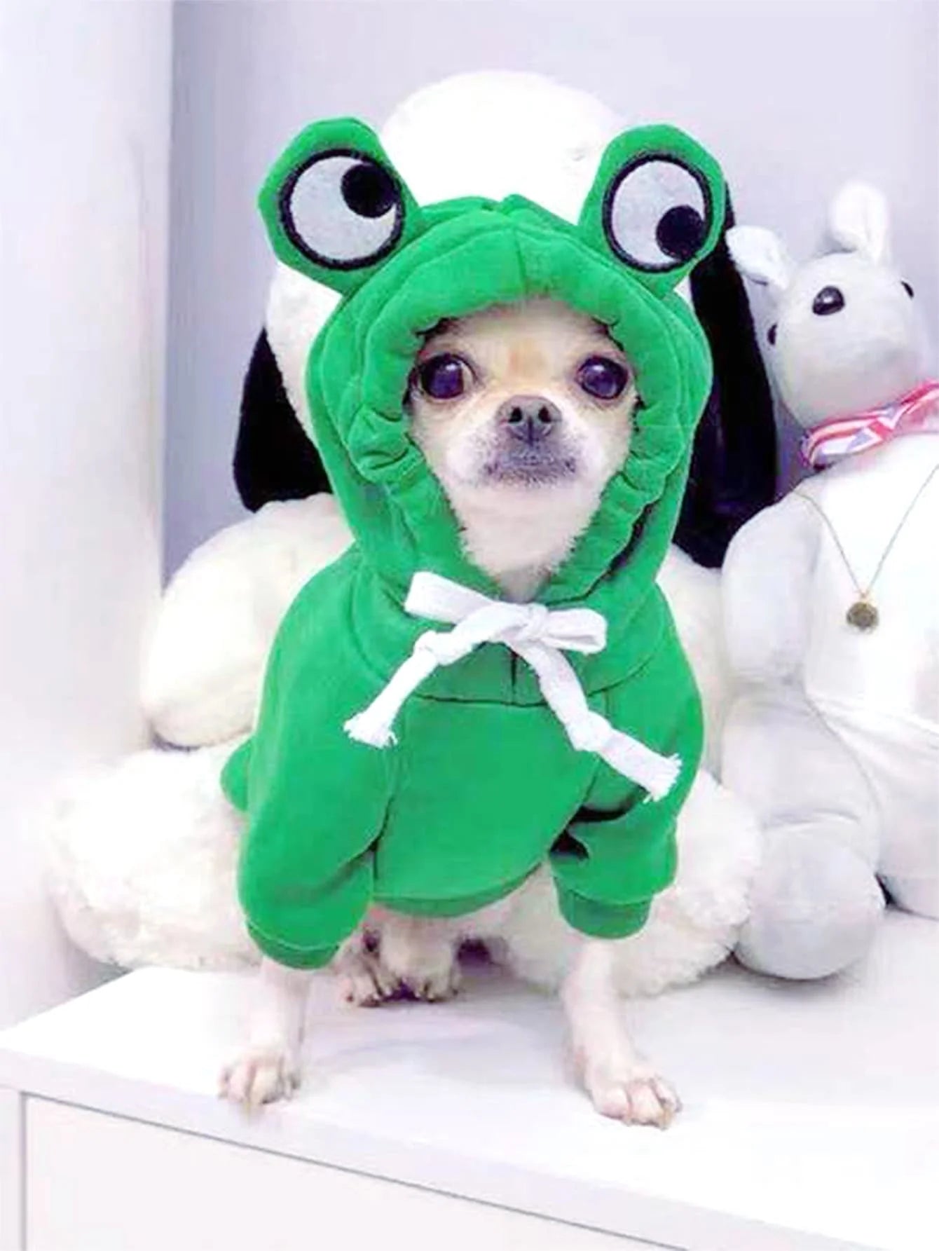 Pull Mignon Grenouille pour Chiens – Sweat à Capuche Vert pour Petits et Moyens Chiens – Confortable et Stylé