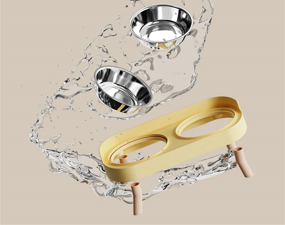 Double gamelle colorée pour chat – Acier inoxydable, grande capacité et design tendance