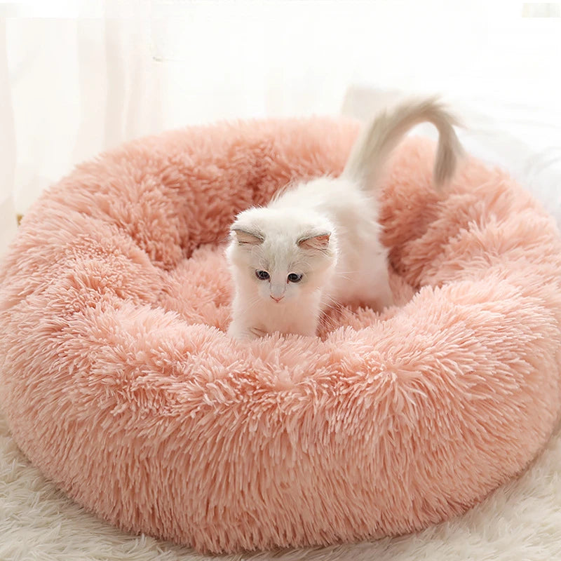 Lit rond en peluche pour chat – Panier chaud, détachable et lavable, idéal pour l’hiver et toutes les saisons