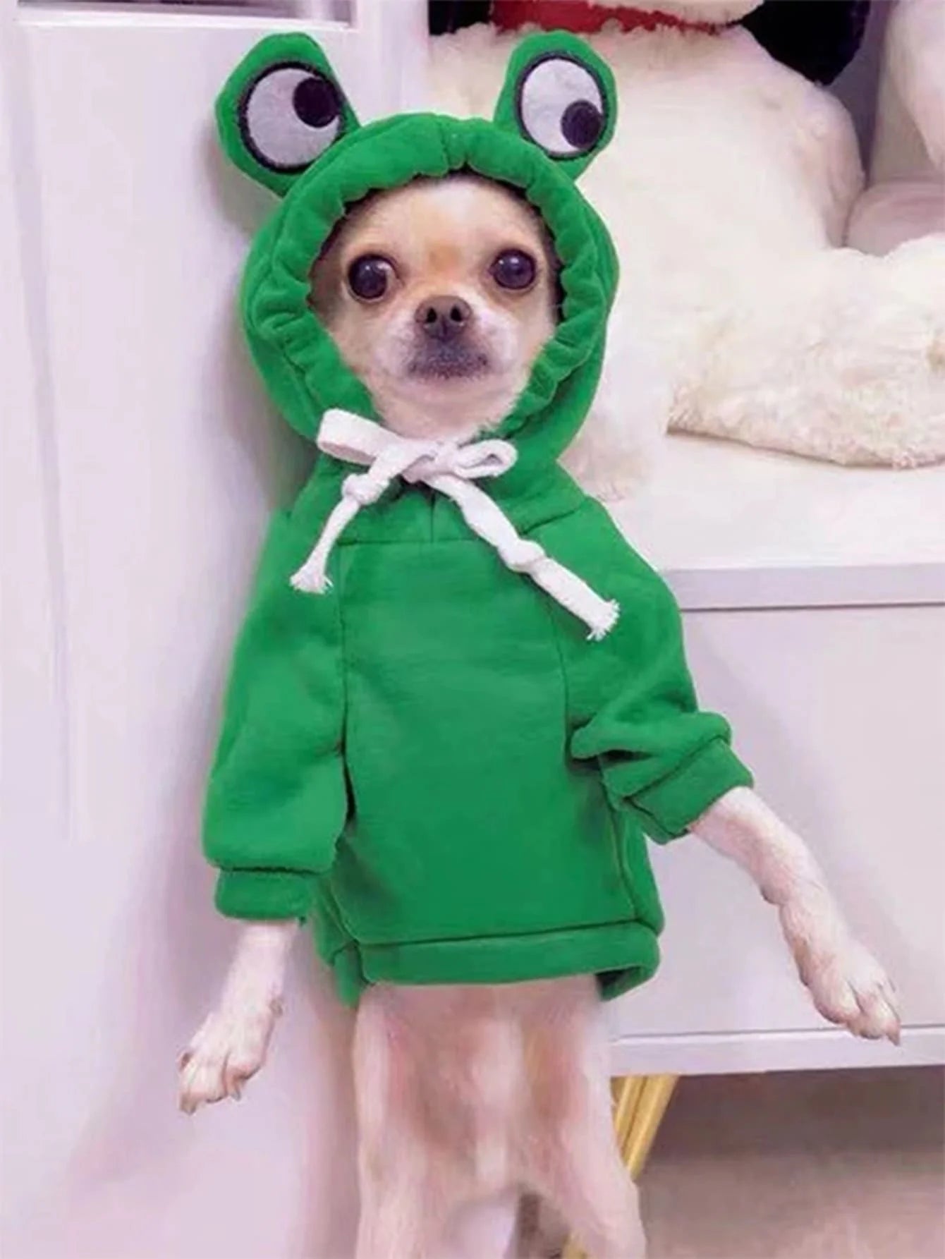 Pull Mignon Grenouille pour Chiens – Sweat à Capuche Vert pour Petits et Moyens Chiens – Confortable et Stylé