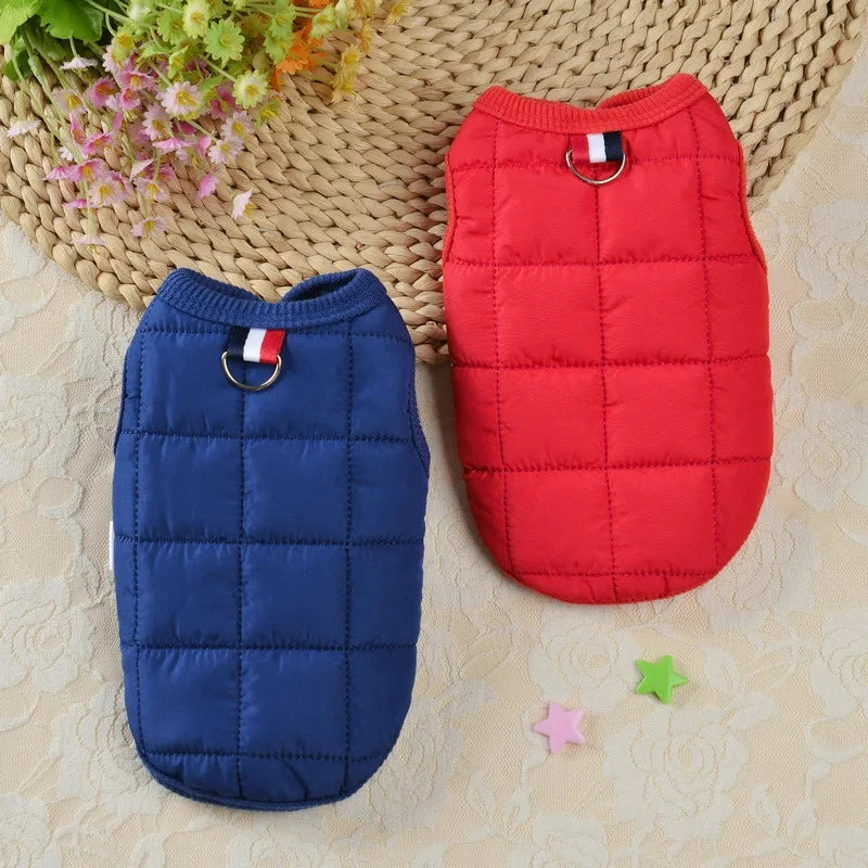 Manteau d’Hiver Chaud pour Petit Chien – Veste Matelassée et Coupe-Vent pour Chihuahua et Chiens de Petite Taille
