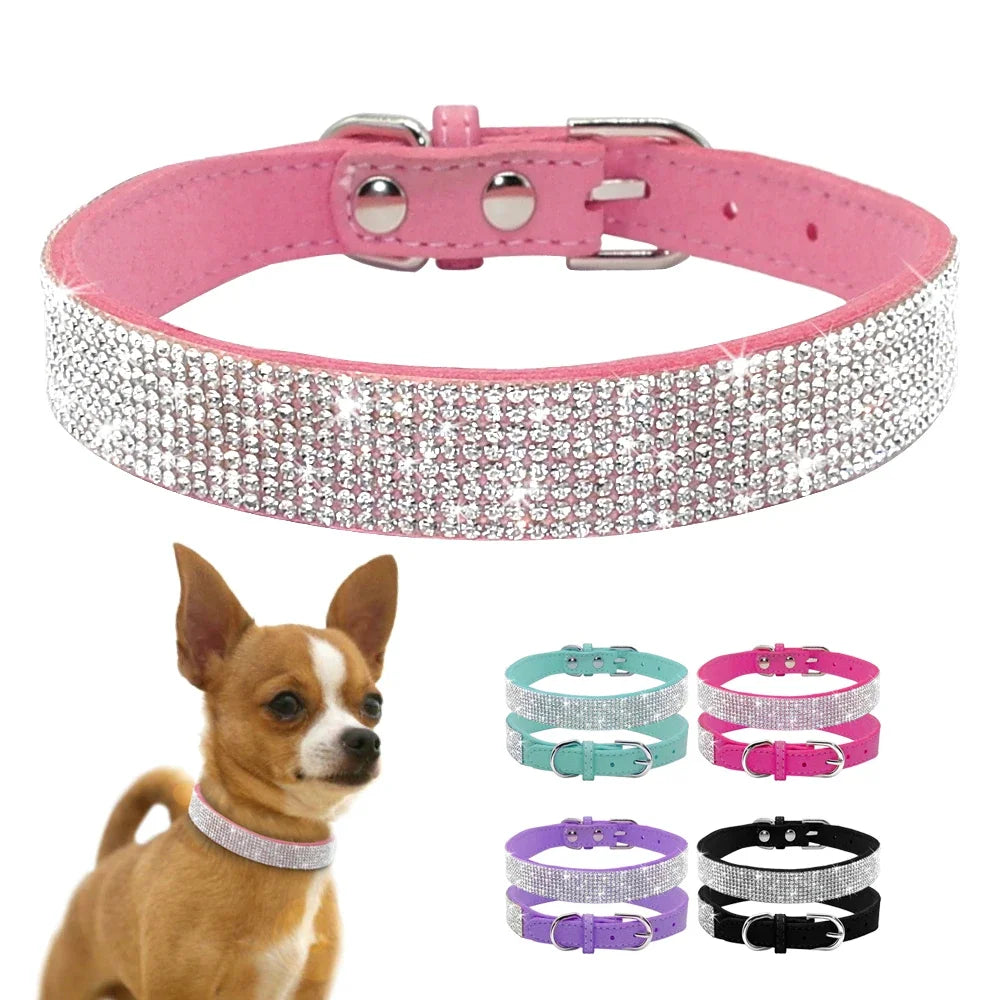 Collier pour chien et chat – Strass et paillettes, boucle en alliage de zinc, petits et moyens chiens