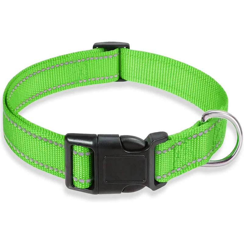 Collier réfléchissant pour chien avec sangle de sécurité réglable