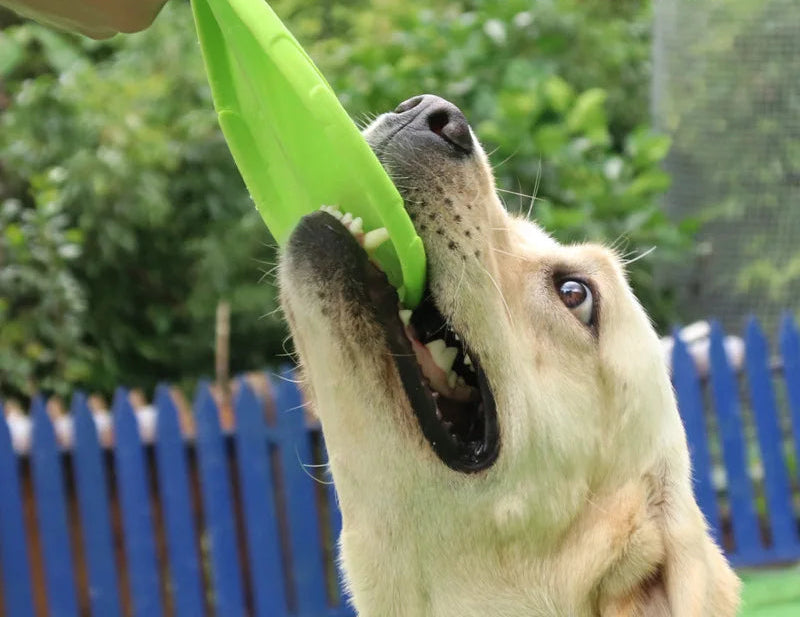 Disque volant résistant aux morsures