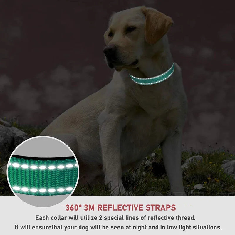Collier réfléchissant pour chien avec sangle de sécurité réglable