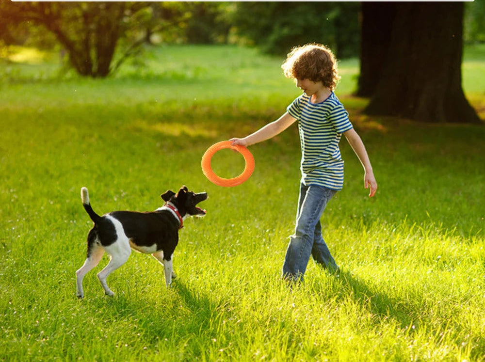 Anneau d'entraînement - disque volant interactif résistant