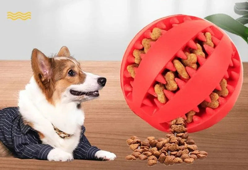 Balle de nettoyage des dents en caoutchouc naturel - jouet élastique, interactif et résistant