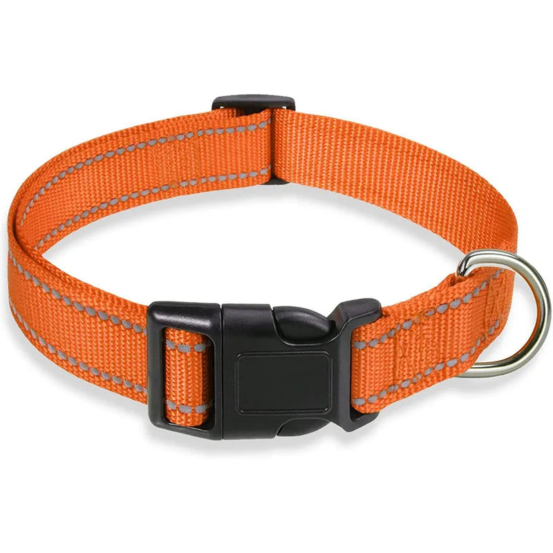 Collier réfléchissant pour chien avec sangle de sécurité réglable