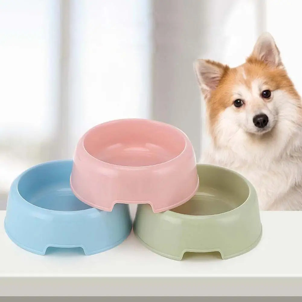 Petite gamelle simple pour chien en plastique couleur bonbon