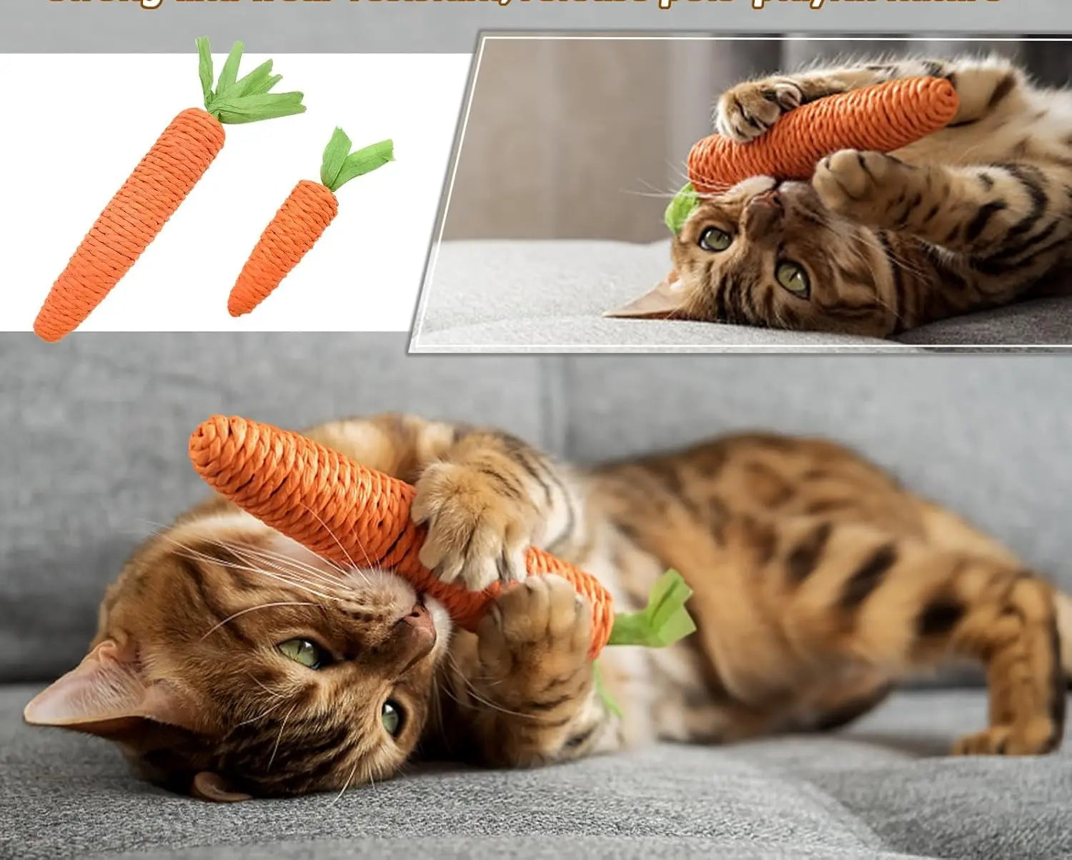 Jouet de dentition pour chat - résistant aux morsures et aux griffes.