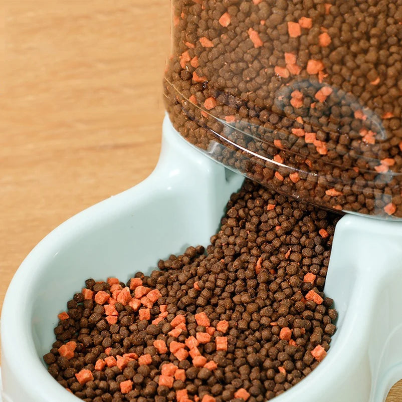 Mangeoire automatique pour chat avec une gamelle de grande capacité