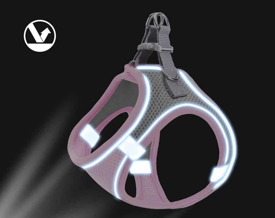Harnais réfléchissant pour chat – Ensemble harnais et laisse réglable pour chats
