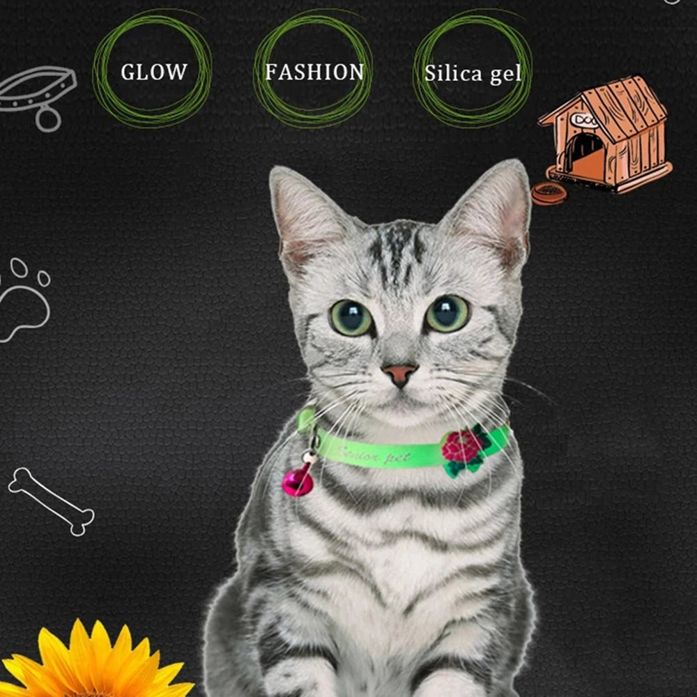 Collier Lumineux pour Chat – Fluorescent en Silicone avec Clochette – Anti-Perte pour Chatons, Chats
