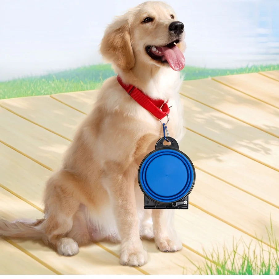 Bol d'alimentation 2-en-1 pliable pour chien