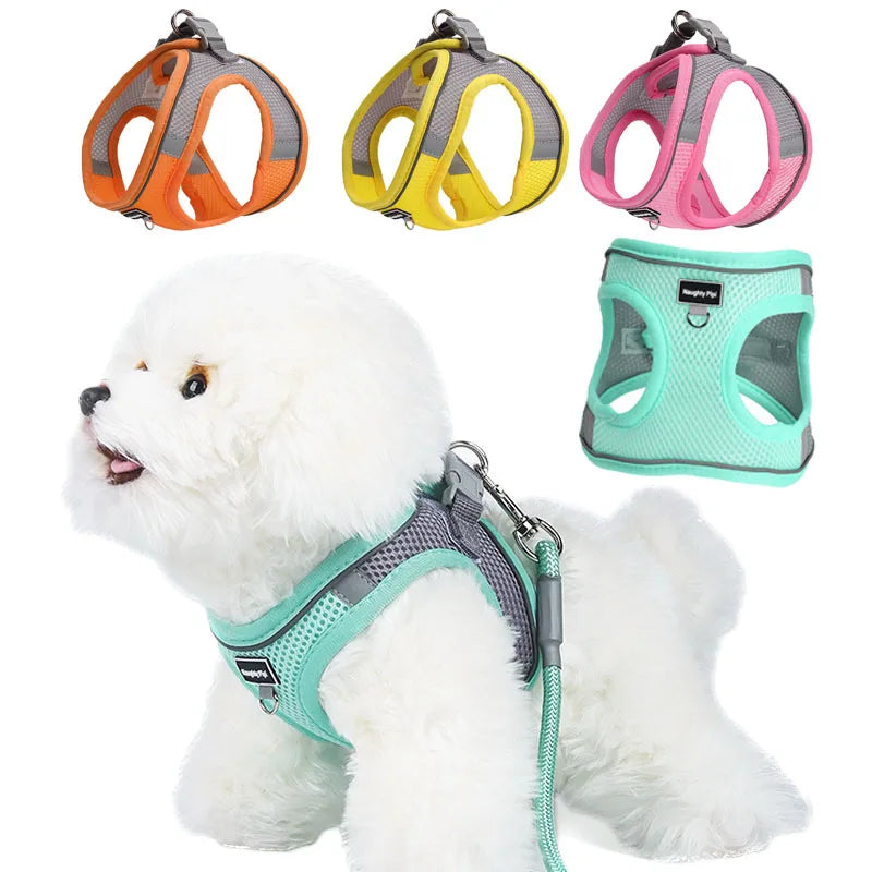Harnais réglable pour petits chiens et chiots