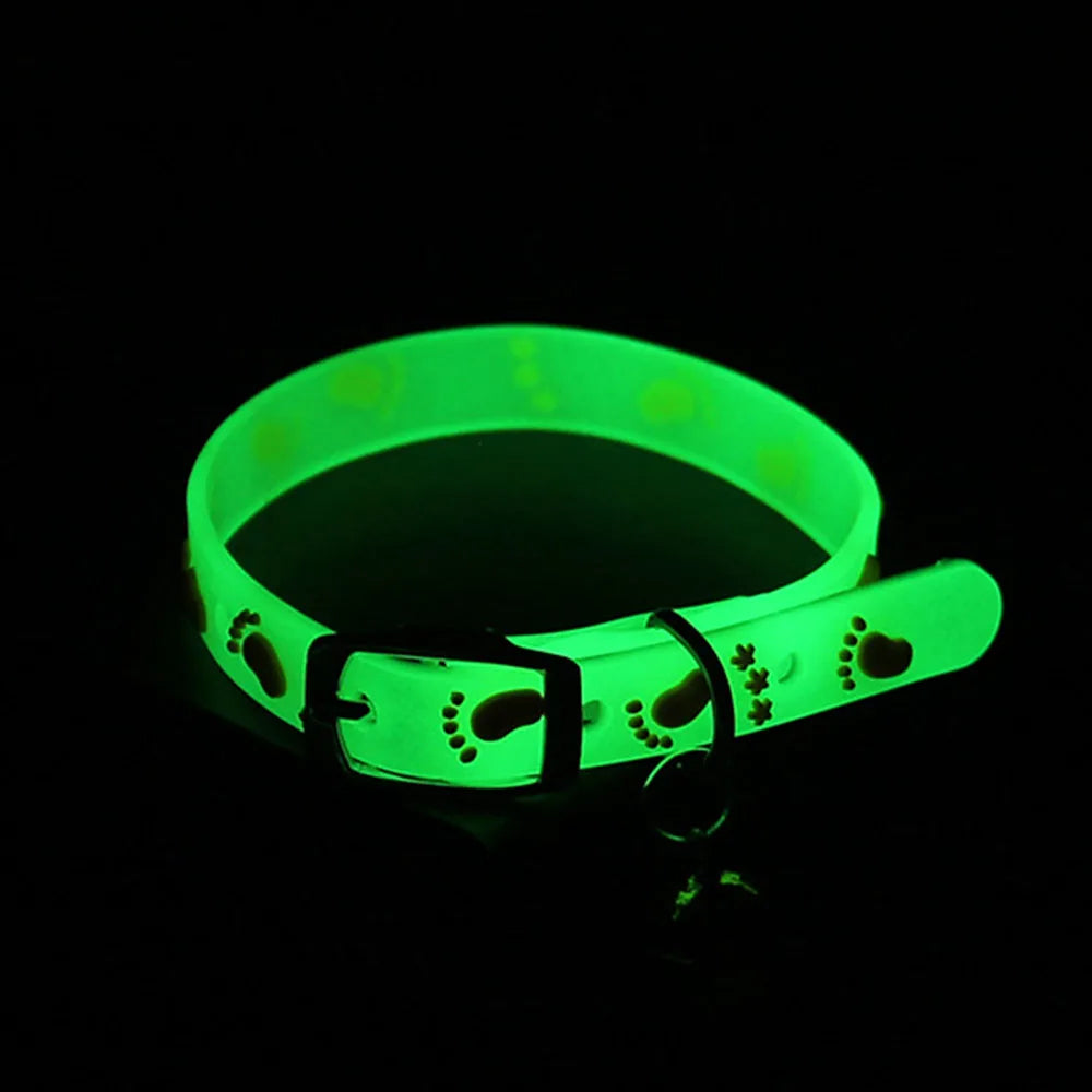 Collier Lumineux pour Chat – Fluorescent en Silicone avec Clochette – Anti-Perte pour Chatons, Chats