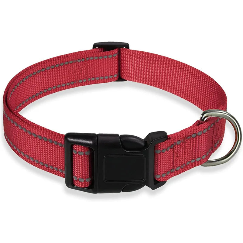 Collier réfléchissant pour chien avec sangle de sécurité réglable