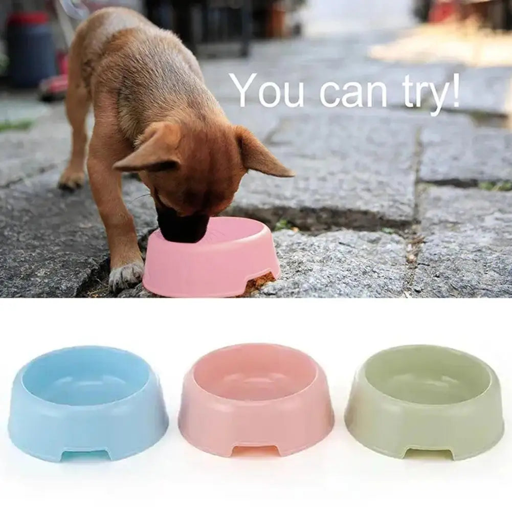 Petite gamelle simple pour chien en plastique couleur bonbon