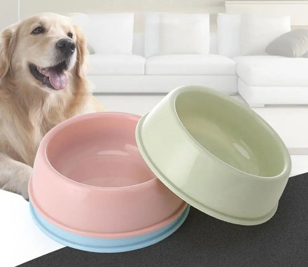 Petite gamelle simple pour chien en plastique couleur bonbon