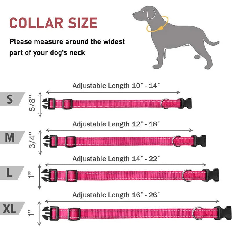 Collier réfléchissant pour chien avec sangle de sécurité réglable