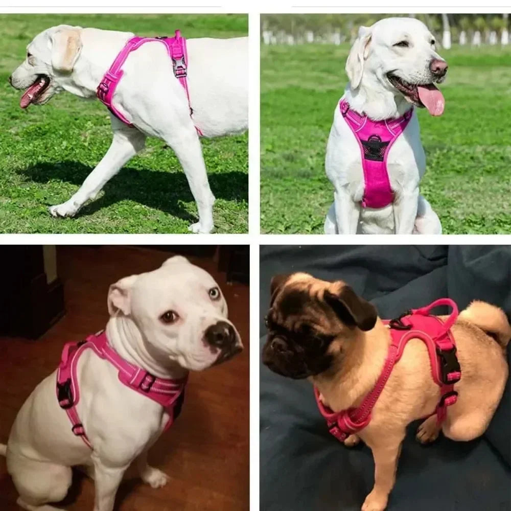 Harnais réfléchissant réglable et respirant - sangle de poitrine pour petit, moyen et grand chien