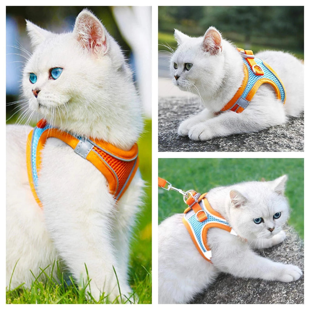 Harnais réfléchissant pour chat – Ensemble harnais et laisse réglable pour chats