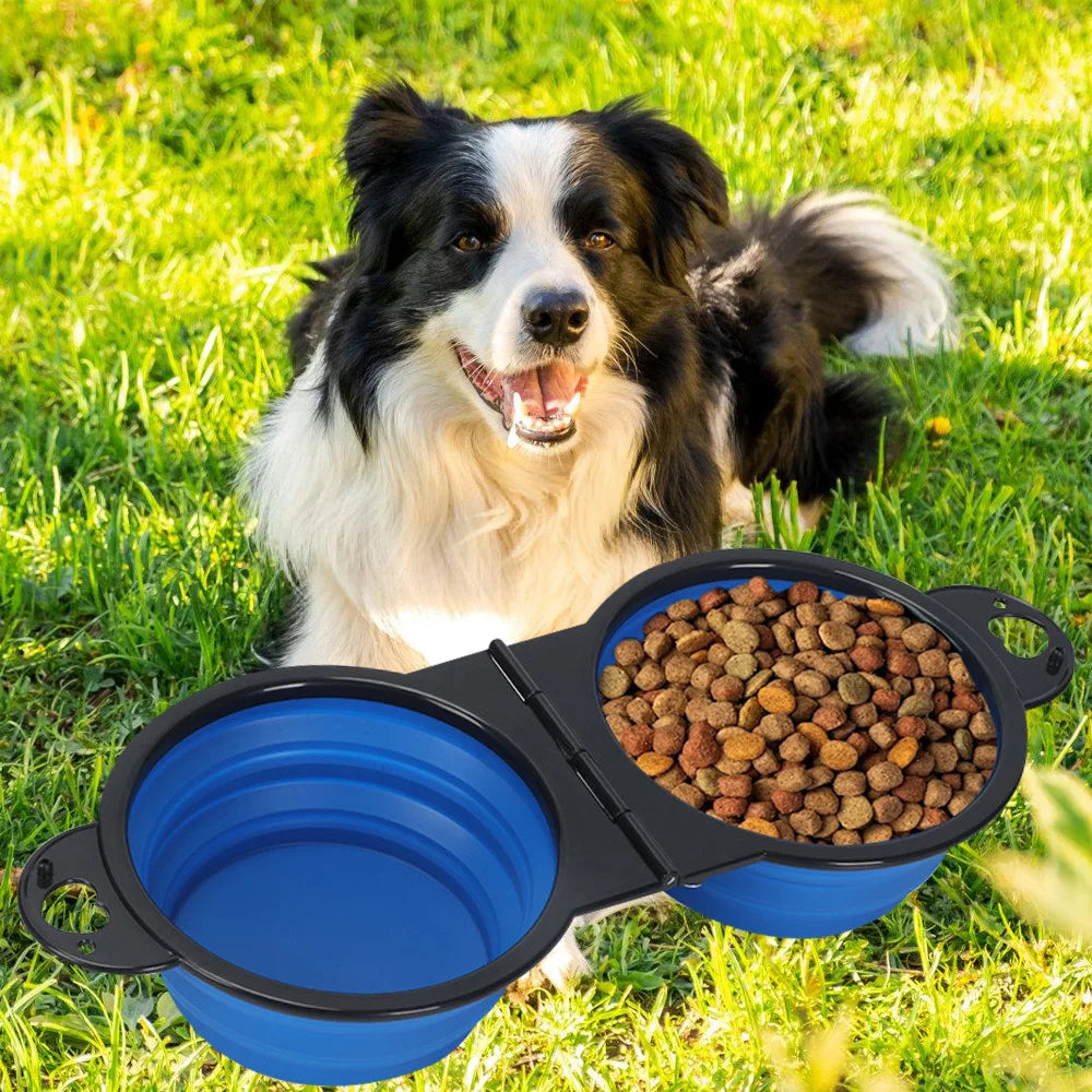 Bol d'alimentation 2-en-1 pliable pour chien