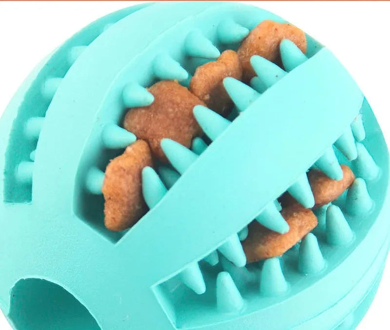 Balle de nettoyage des dents en caoutchouc naturel - jouet élastique, interactif et résistant