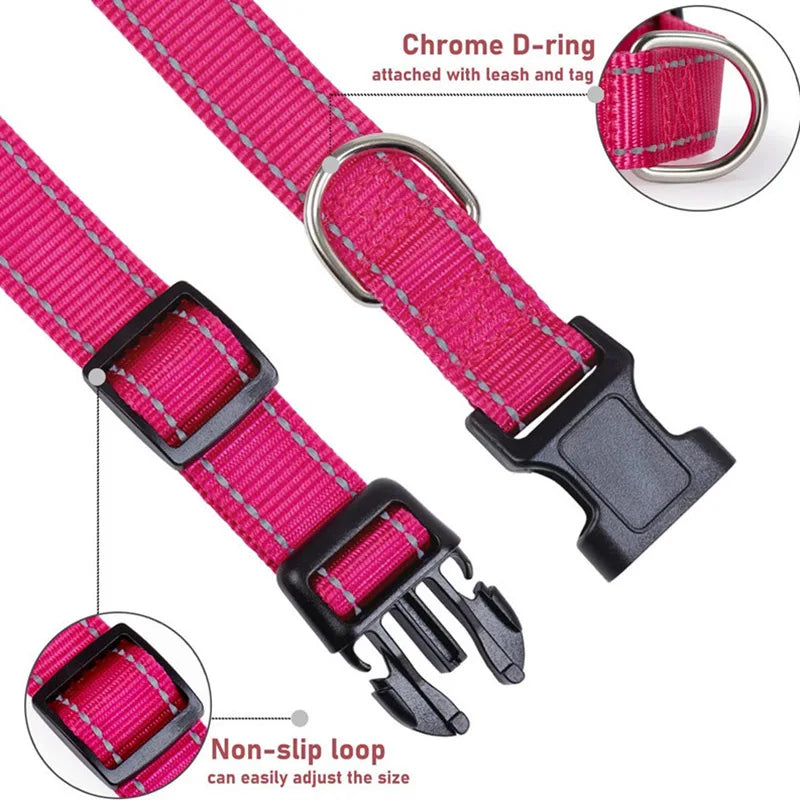 Collier réfléchissant pour chien avec sangle de sécurité réglable