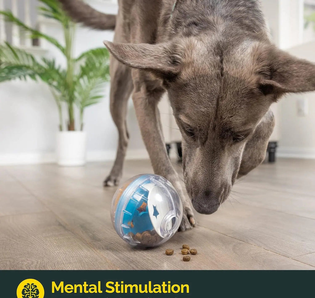 Balle Distributeur de friandises - Jouet interactif