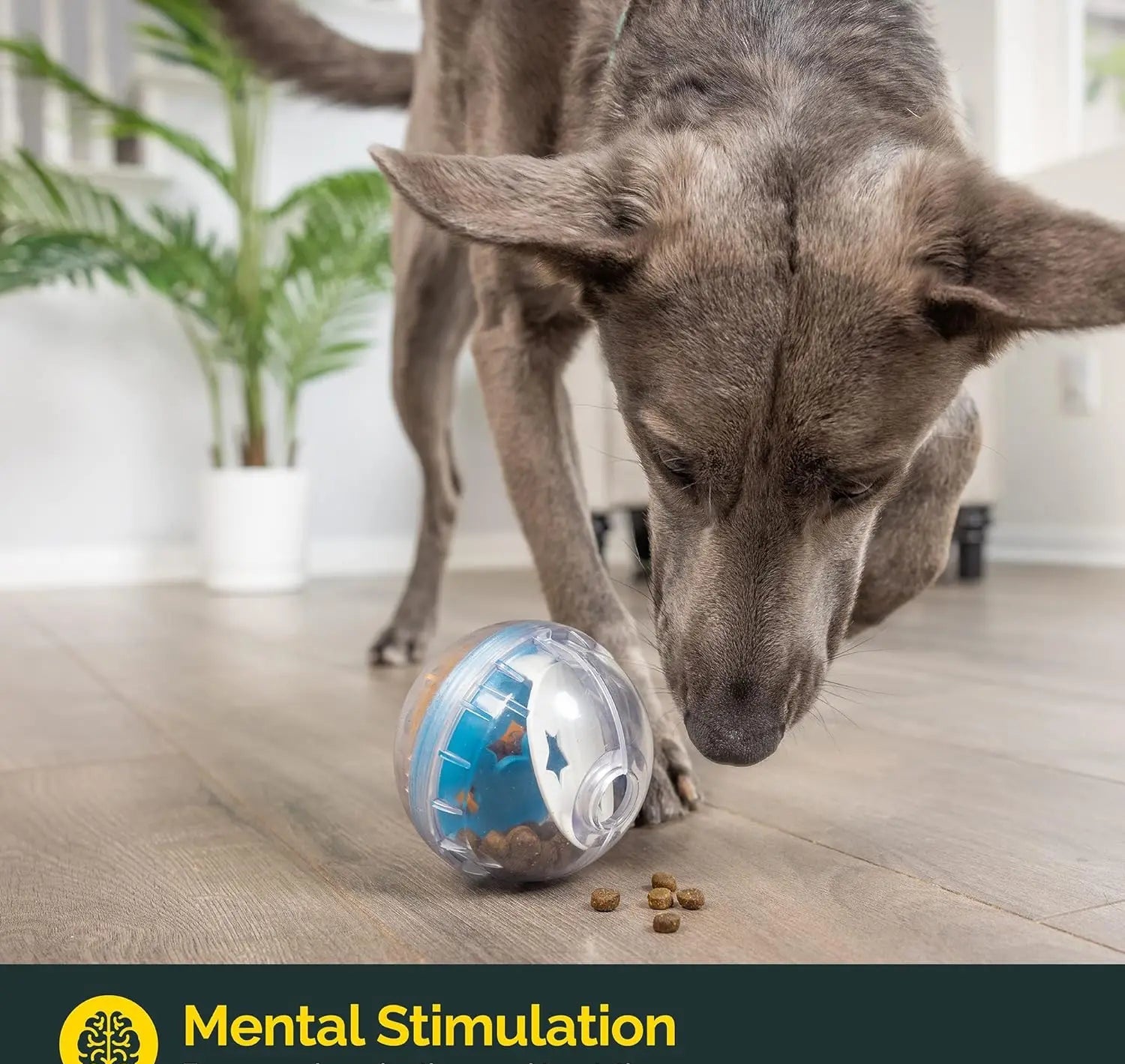 Balle Distributeur de friandises - Jouet interactif