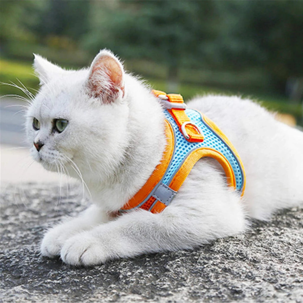 Harnais réfléchissant pour chat – Ensemble harnais et laisse réglable pour chats