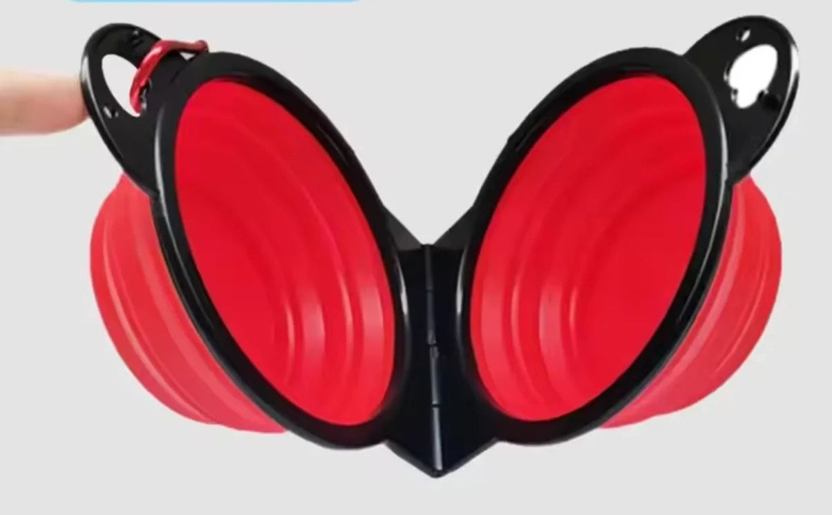 Bol d'alimentation 2-en-1 pliable pour chat