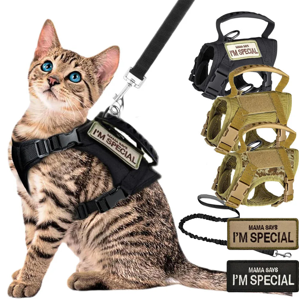 Harnais tactique pour chat – Gilet réglable en maille douce avec poignée, idéal pour grands chats