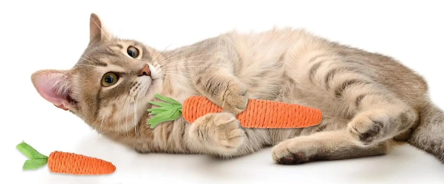 Jouet de dentition pour chat - résistant aux morsures et aux griffes.