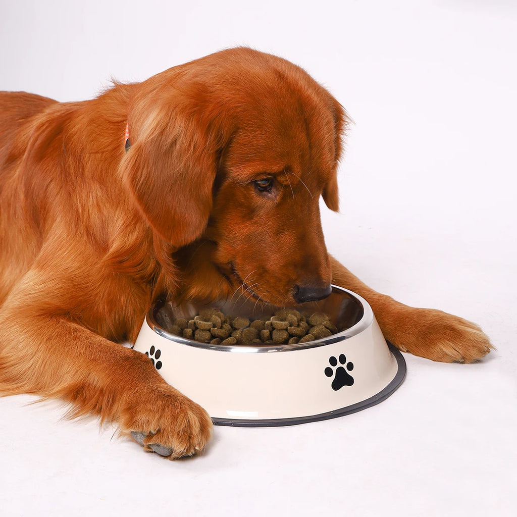 Gamelle en acier inoxydable pour chien – Antichute, durable et disponible en plusieurs tailles