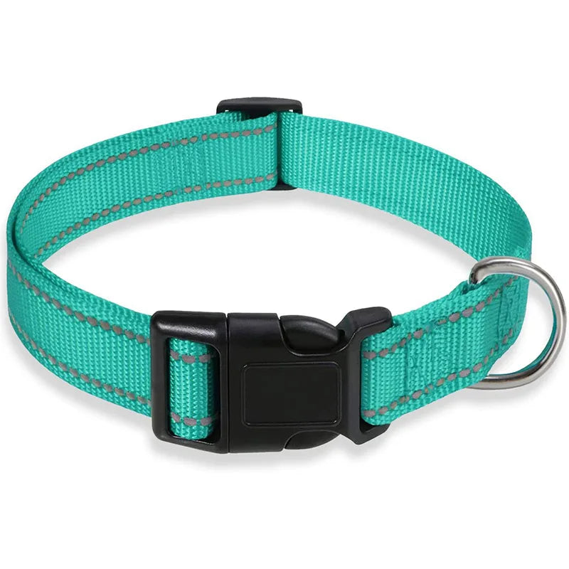 Collier réfléchissant pour chien avec sangle de sécurité réglable
