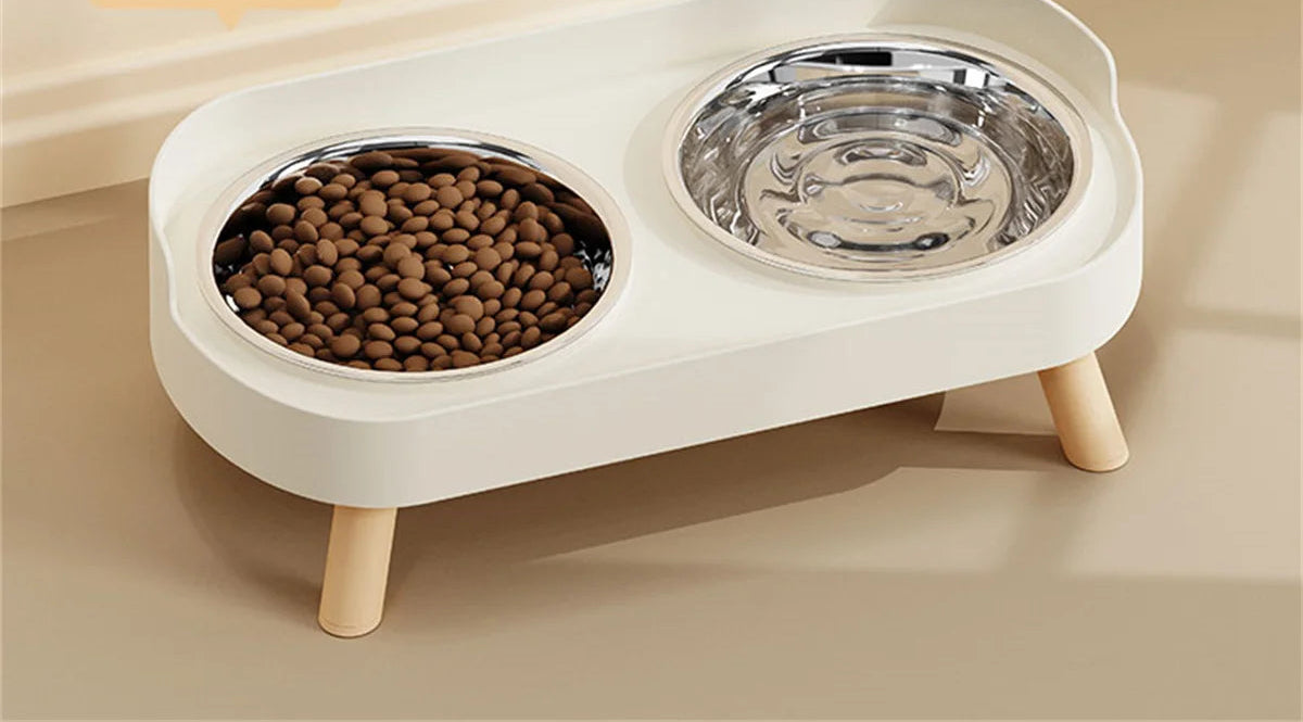 Double gamelle colorée pour chat – Acier inoxydable, grande capacité et design tendance